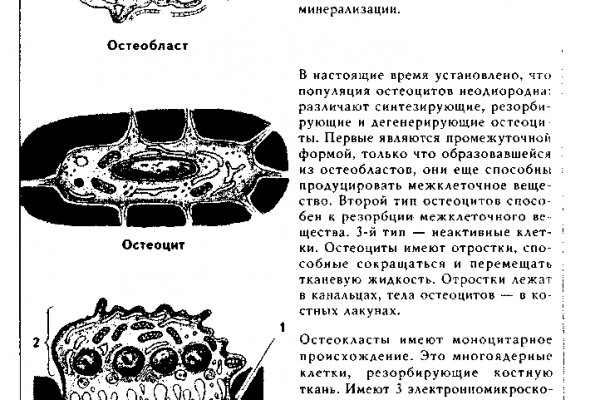 Официальная ссылка кракен